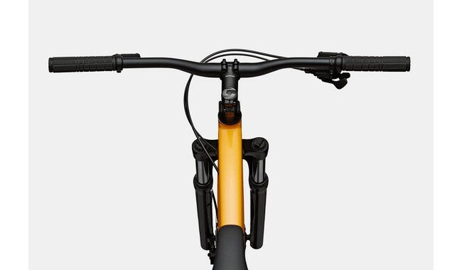 Велосипед Cannondale Trail 5 29" - дополнительное фото 2