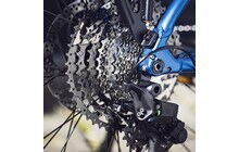 Касета Shimano CS-LG600-11 11-50T - дополнительное фото 4