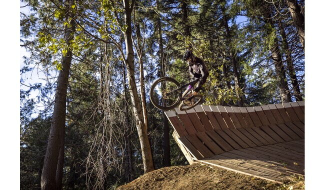 Велосипед Giant Reign SX - дополнительное фото 11