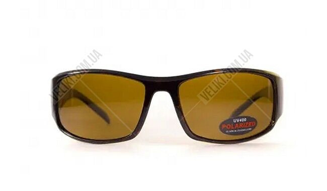 Очки BluWater Florida-1 Polarized Brown - дополнительное фото 1