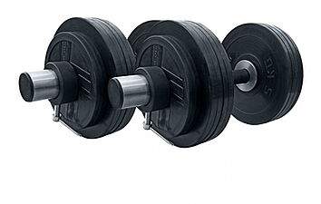 Гантели олимпийские RN-Sport 2 х 31 кг