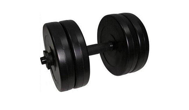 Гантель Newt Rock Pro 10,5 кг - фото 1