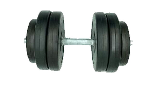Гантель Newt Rock Pro-R 14,5 кг - фото 1