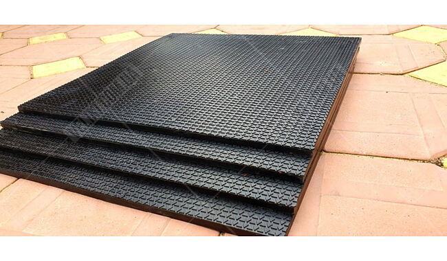 Килимок RN-Sport 200х200х0,7 см - дополнительное фото 2