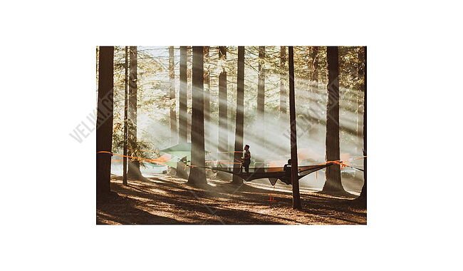Гамак Tentsile Trillium XL 6-Person Camping Hammock 3.0 - дополнительное фото 8