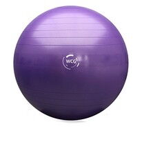 Мяч для фитнеса WCG 65 Anti-Burst 65 см