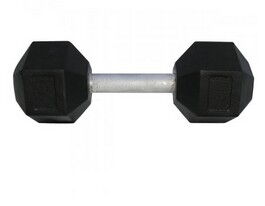 Гантель Newt Profi 9 кг