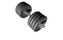 Гантель Newt Home 26 кг - фото 1