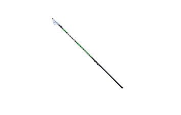 Болонское удилище Brain Phantom 5,0 м