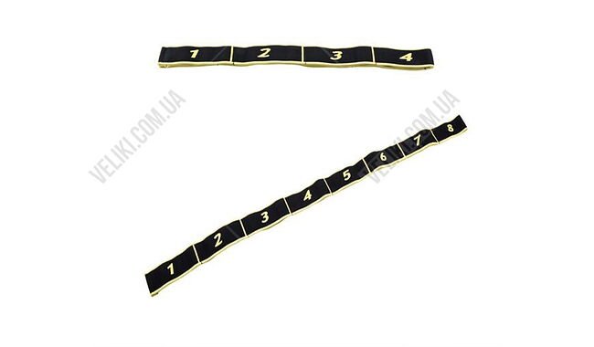 Еспандер Newt Elastiband BJOY NE-ELASTI-2B 10 кг - дополнительное фото 2