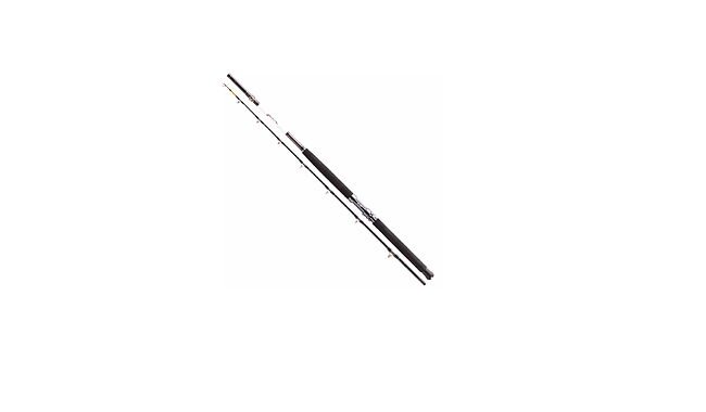 Спінінг Daiwa Tanacom 400-500 г 2,10 м - фото 1