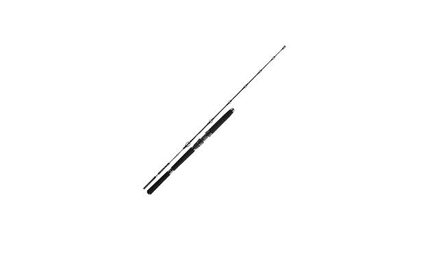 Спінінг Daiwa BG Deep Sea 30-40 lb 2,20 м - фото 1