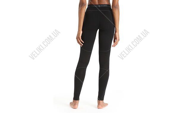 Термоштаны Icebreaker 150 Zone Leggings Wmns - дополнительное фото 1