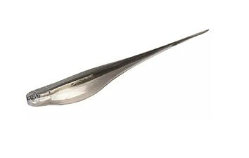 Слаг Z-Man Streakz 3,75" 6 шт