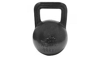 Гиря Newt NE-100 24 кг