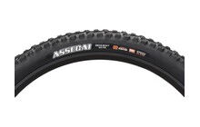 Покрышка Maxxis Assegai 29x2.5" WT 3C MaxxTerra EXO+ TR - дополнительное фото 4
