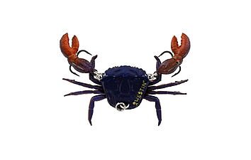 Воблер Westin Coco the Crab 20 мм 6 г