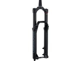 Вилка RockShox Domain RC DebonAir 29" 15x110 160 мм