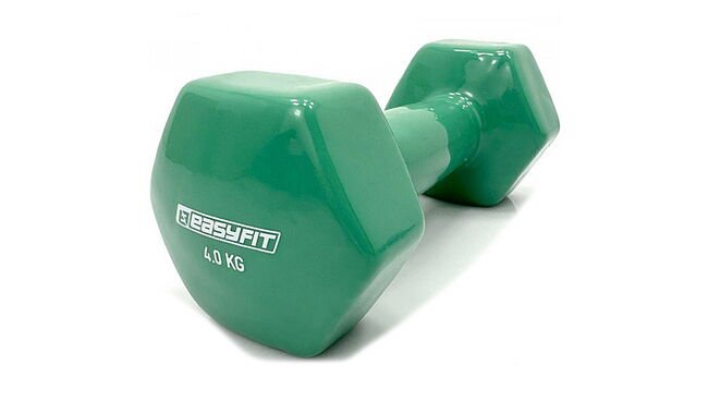 Гантель EasyFit EF-0040 4 кг - фото 1