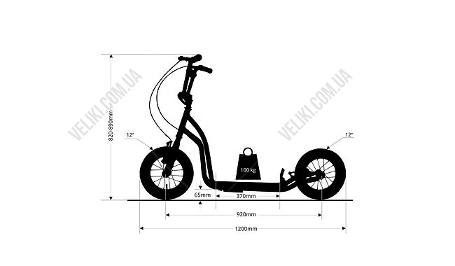 Самокат inSPORTline Raicot SE - дополнительное фото 1