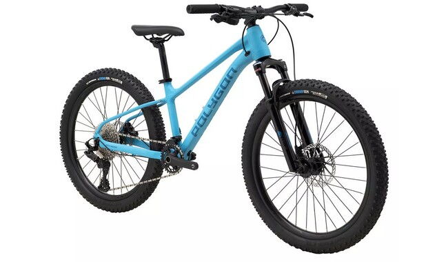 Велосипед Polygon Xtrada 24" - дополнительное фото 1