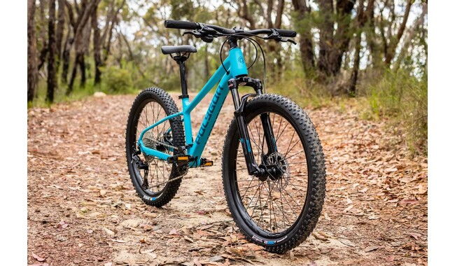 Велосипед Polygon Xtrada 24" - дополнительное фото 3