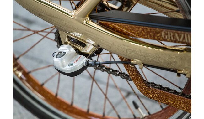 Велосипед Graziella Gold Croco - дополнительное фото 24