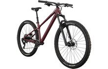 Велосипед Cannondale Habit HT 2 - дополнительное фото 1