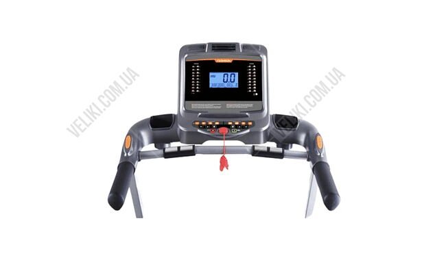 Беговая дорожка York Fitness T800PLUS - дополнительное фото 1