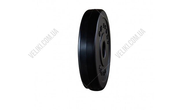 Диск RN-Sport 1,25 кг – 31 мм - дополнительное фото 2