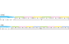 Волосінь Sunline Castest Tapered 170m конусна 0.330-0.570mm 8.0kg - дополнительное фото 2