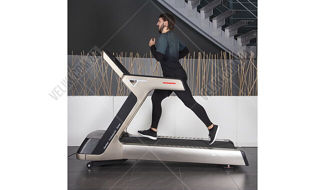 Беговая дорожка inSPORTline Gardian G12 - дополнительное фото 4