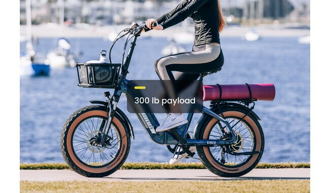 Электровелосипед Aventon Sinch.2 - дополнительное фото 15