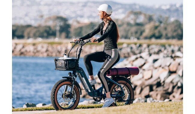 Электровелосипед Aventon Sinch.2 - дополнительное фото 17