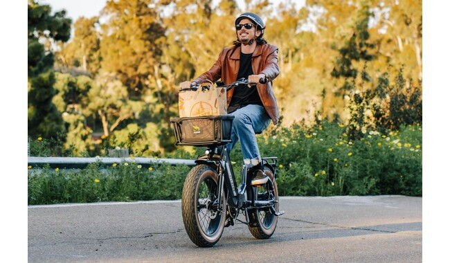 Электровелосипед Aventon Sinch.2 - дополнительное фото 18