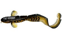 Твистер Savage Gear 3D Burbot FS 250 мм 75 г 1 шт - фото 3