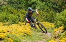 Электровелосипед Mondraker Neat RR - дополнительное фото 16