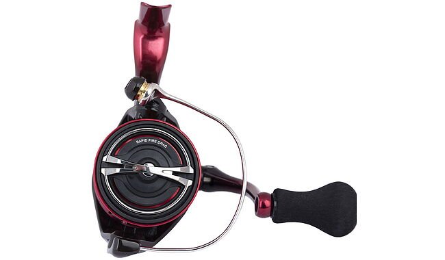 Котушка Shimano Sephia BB C3000S 5+1BB - дополнительное фото 1