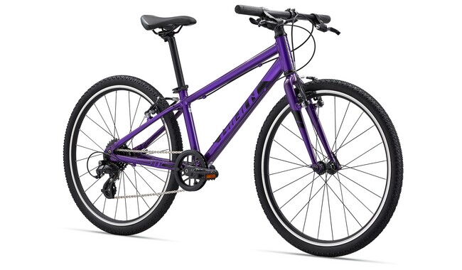 Велосипед Giant ARX 24 2022 - дополнительное фото 1