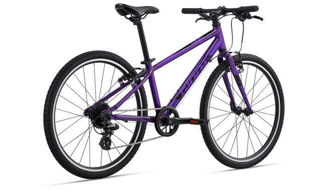 Велосипед Giant ARX 24 2022 - дополнительное фото 2