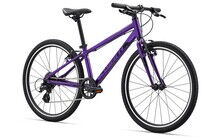 Велосипед Giant ARX 24 2022 - дополнительное фото 1