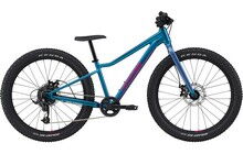 Велосипед Cannondale Kids Trail Plus 24 - фото 1