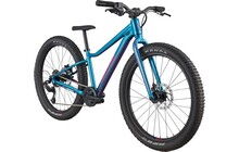 Велосипед Cannondale Kids Trail Plus 24 - дополнительное фото 1