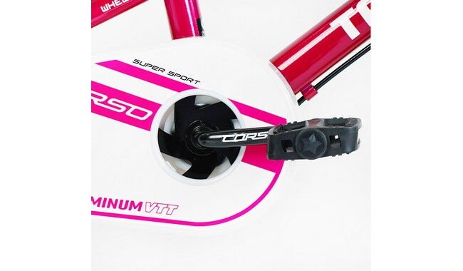 Велосипед Corso Tayger 16" 2024 - дополнительное фото 4