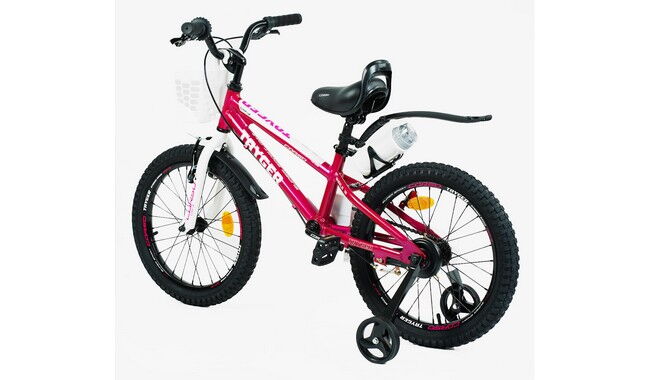 Велосипед Corso Tayger 18" 2024 - дополнительное фото 20