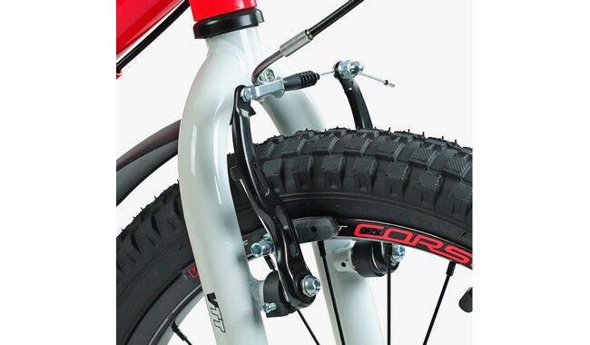 Велосипед Corso Tayger 20" 2024 - дополнительное фото 3