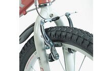 Велосипед Corso Tayger 20" 2024 - дополнительное фото 10