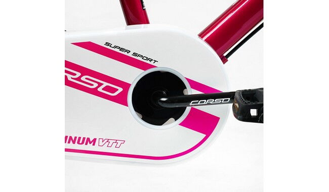 Велосипед Corso Tayger 20" 2024 - дополнительное фото 39