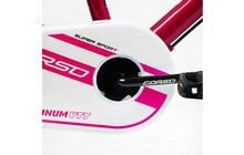 Велосипед Corso Tayger 20" 2024 - дополнительное фото 39