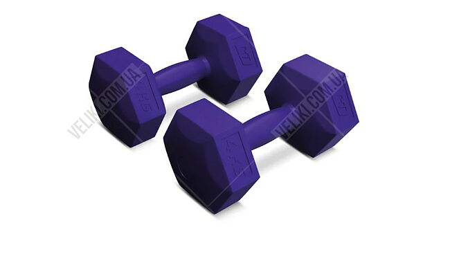 Гантелі Hop-Sport HS-C040DS 2х4 кг - дополнительное фото 1